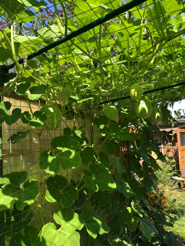 90FB988E-1908-46A5-AF3D-1F982646AEAC