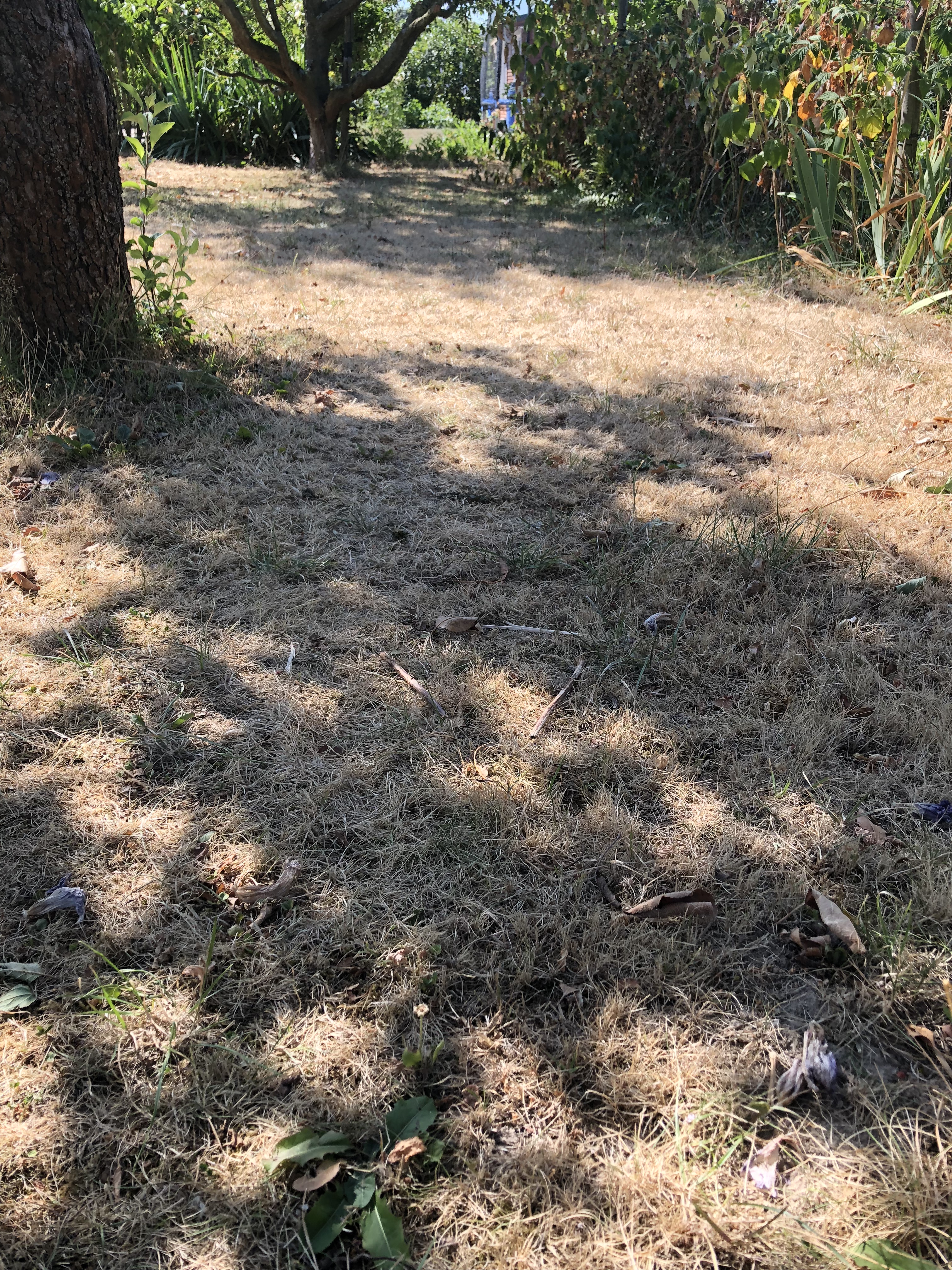 C83B7D38-6ED5-47CA-A585-6660A4BFBA8C