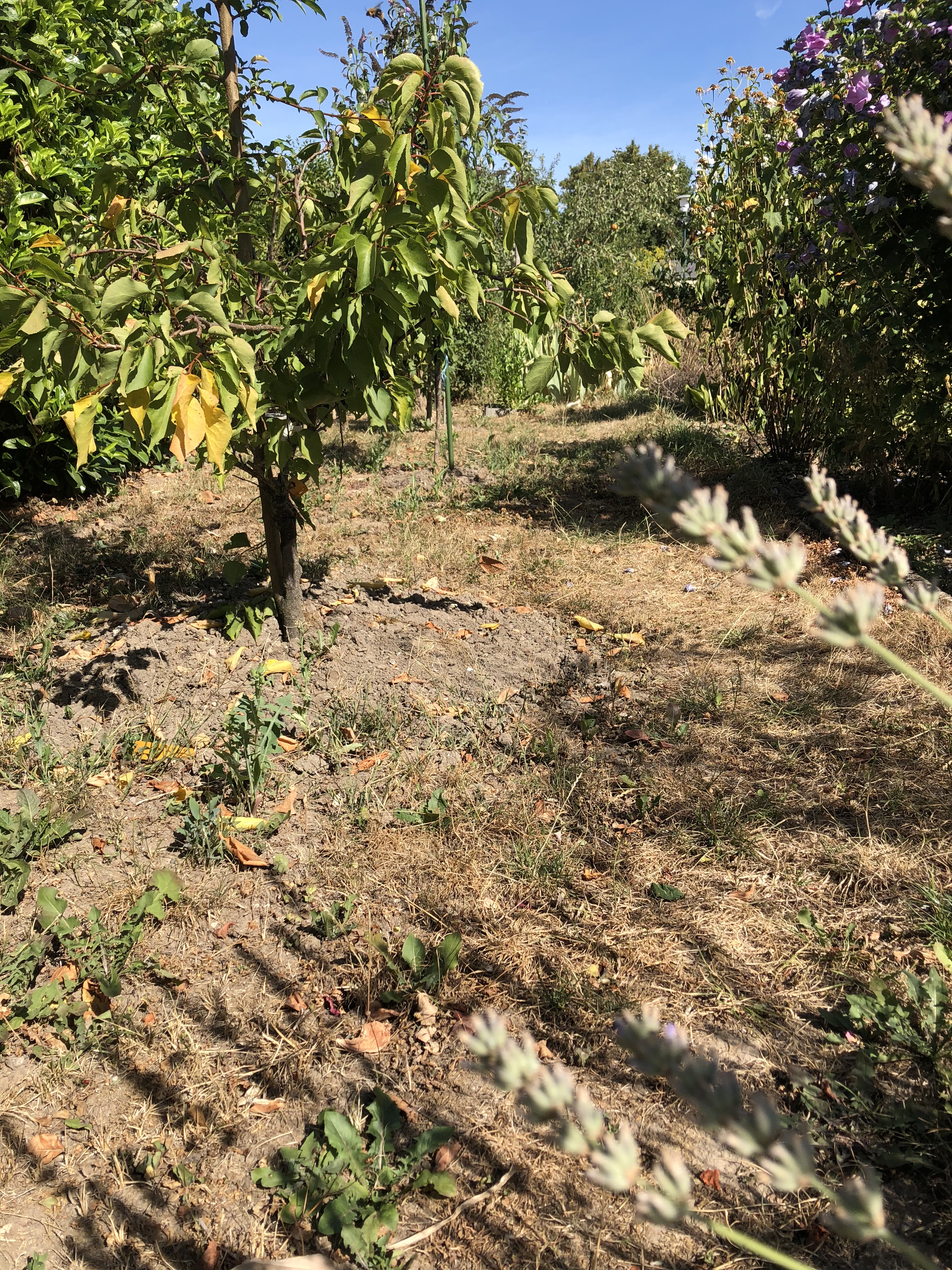 EBDD01EE-B920-4C82-8FFF-3AEB24EF07B2