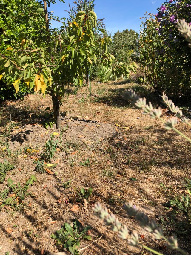 EBDD01EE-B920-4C82-8FFF-3AEB24EF07B2