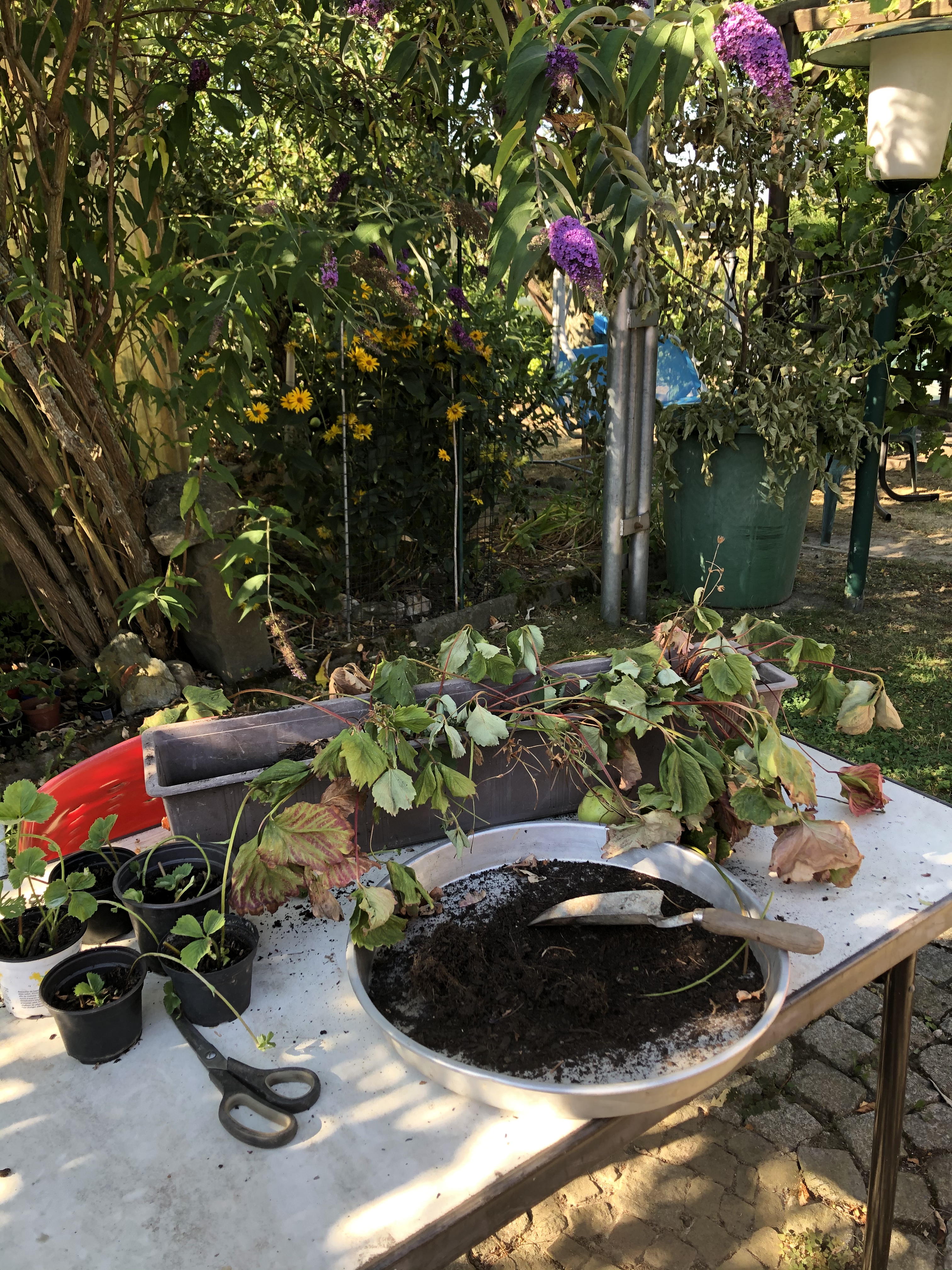 40AB0FA0-75A9-4263-9F0F-DDCD0C19C36D