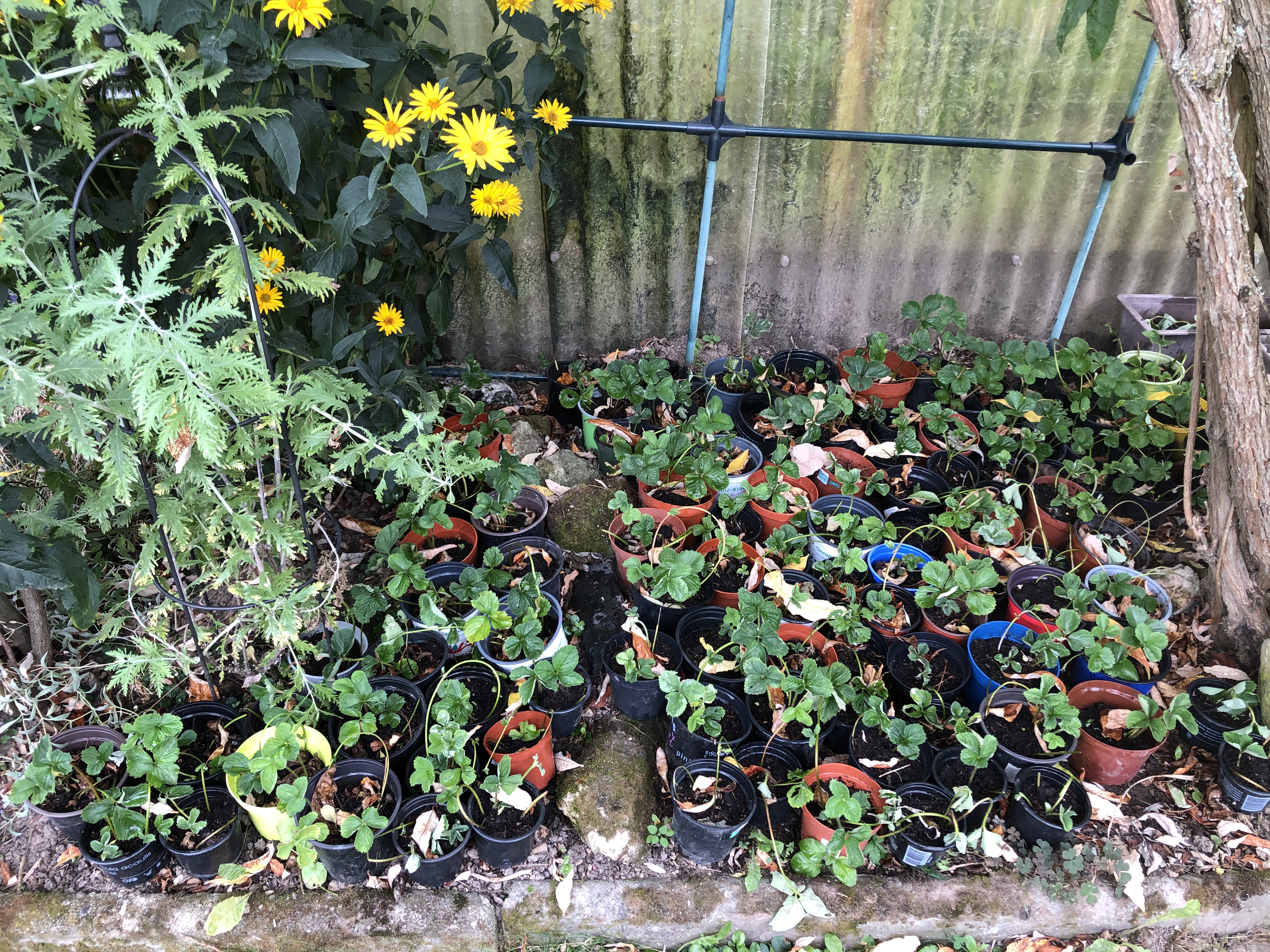 8D63EE92-63F4-4E57-A049-AB35B3A8E713