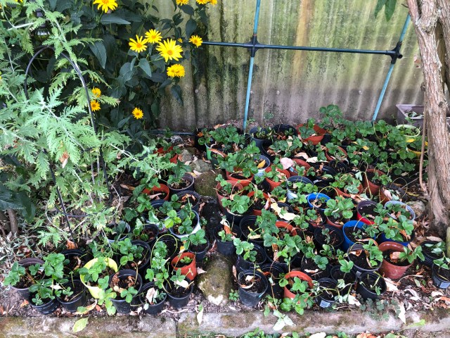 8D63EE92-63F4-4E57-A049-AB35B3A8E713