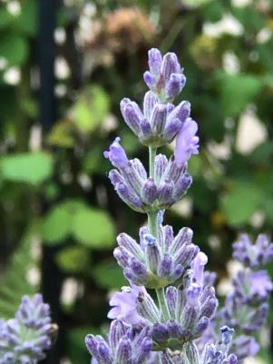 cf7d8e37-6d4c-4691-9bbe-92a0169dfaf4