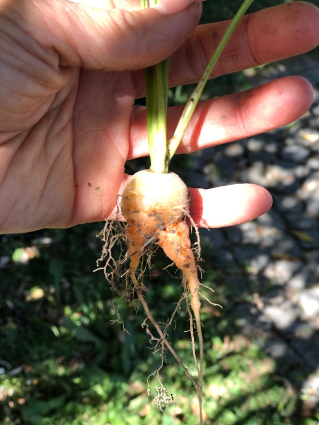 DB03C419-6A46-4A97-AFBD-1B65BBA08950